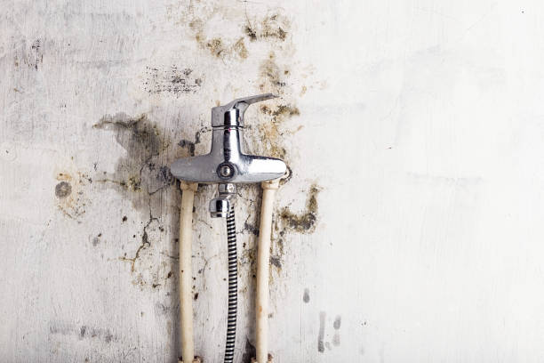 Best Commercial Mold Remediation in Macopin, NJ